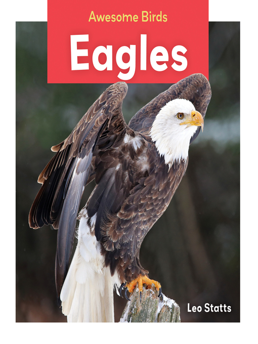 Title details for Eagles by S. L. Hamilton - Available